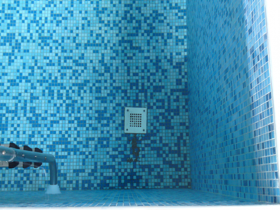 Частный бетонный бассейн с мозаикой3